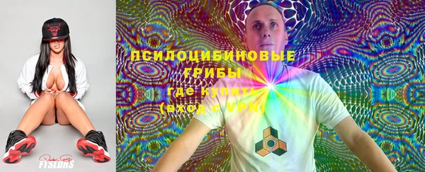 таблы Богданович
