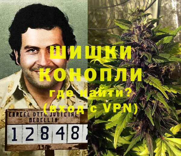 дживик Богородск