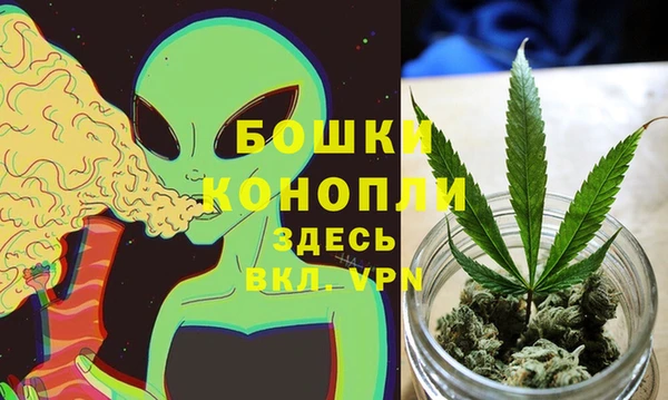 дживик Богородск