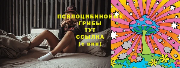 кокс Богородицк