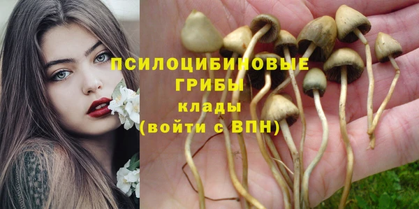 дживик Богородск