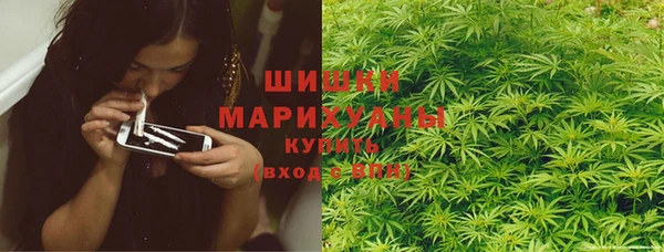 дживик Богородск