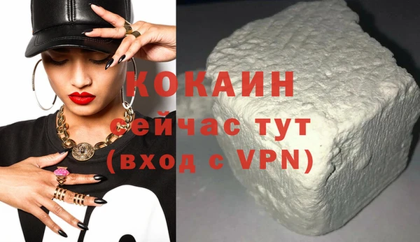 дживик Богородск
