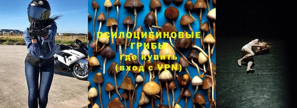кокс Богородицк