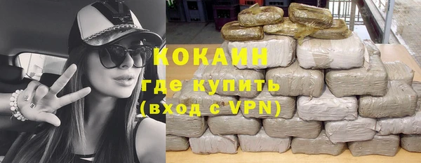 дживик Богородск