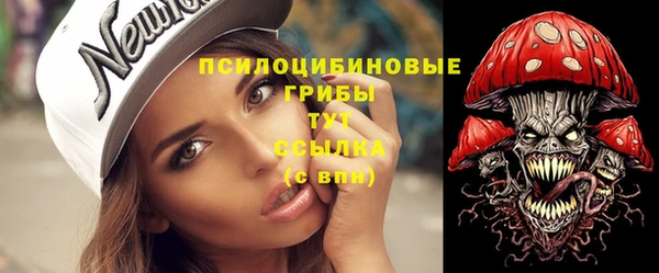 кокс Богородицк