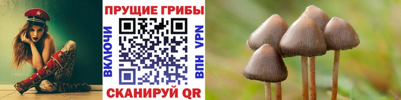 Галлюциногенные грибы MAGIC MUSHROOMS  OMG ссылка  Пыть-Ях 